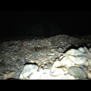 Meet your Posher, Aliyah